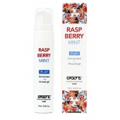 Возбуждающий гель Raspberry Mint с ароматом малины и мяты - 15 мл. - Exsens - купить с доставкой в Череповце