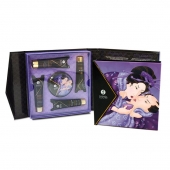 Подарочный набор Geishas secret из 5 предметов - Shunga - купить с доставкой в Череповце