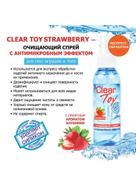 Очищающий спрей для игрушек CLEAR TOY Strawberry - 100 мл. - Биоритм - купить с доставкой в Череповце