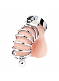 Серебристая клетка для члена Urethral Play Cage - BlueLine - купить с доставкой в Череповце