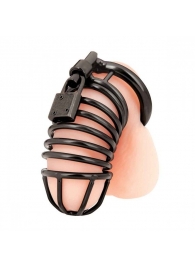 Черная металлическая клетка с замком Deluxe Chastity Cage - BlueLine - купить с доставкой в Череповце