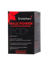 Капсулы для мужчин Erotichard male power с пантогематогеном - 20 капсул (0,370 гр.) - Erotic Hard - купить с доставкой в Череповце