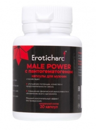 Капсулы для мужчин Erotichard male power с пантогематогеном - 20 капсул (0,370 гр.) - Erotic Hard - купить с доставкой в Череповце