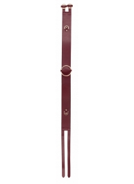 Бордовый ремень Halo Waist Belt - размер L-XL - Shots Media BV - купить с доставкой в Череповце