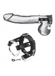 Утяжка на пенис на замочке Duo Cock And Ball Lock - BlueLine - купить с доставкой в Череповце