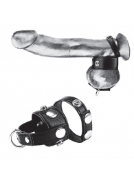 Утяжка для мошонки и пениса Cock Ring With 1  Ball Stretcher And Optional Weight Ring - BlueLine - купить с доставкой в Череповце