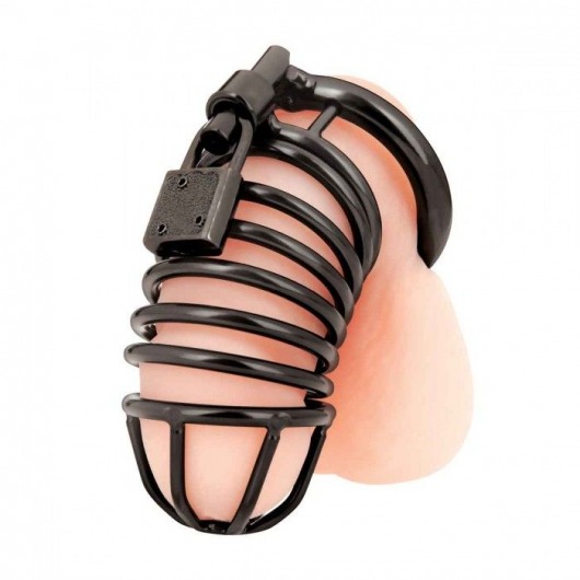 Черная металлическая клетка с замком Deluxe Chastity Cage - BlueLine - купить с доставкой в Череповце