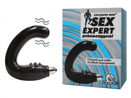 Чёрный массажёр простаты серии Sex Expert - Sex Expert - в Череповце купить с доставкой