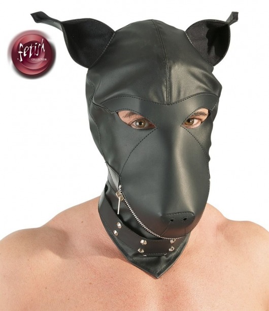 Шлем-маска Dog Mask в виде морды собаки - Orion - купить с доставкой в Череповце